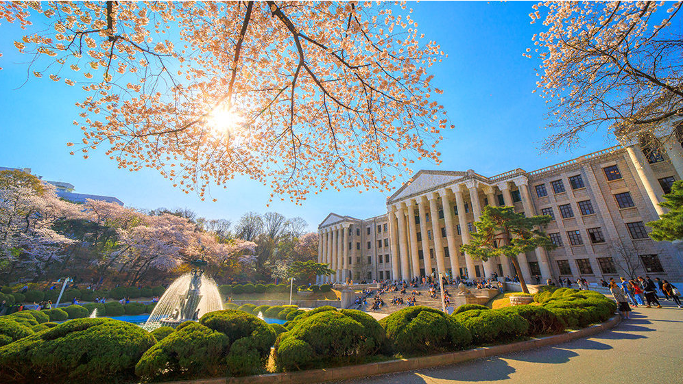 庆熙大学.png